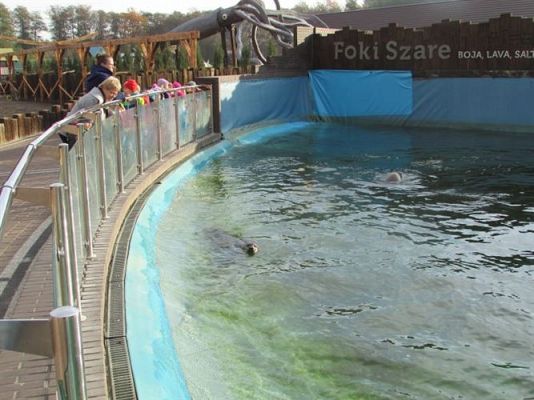 Grafika #14: 05.11.2014 - Wycieczka do Sea Parku w Sarbsku