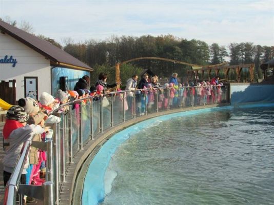 Grafika #19: 05.11.2014 - Wycieczka do Sea Parku w Sarbsku