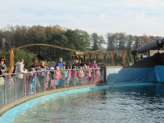 Grafika #20: 05.11.2014 - Wycieczka do Sea Parku w Sarbsku