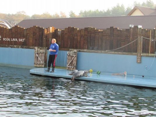 Grafika #24: 05.11.2014 - Wycieczka do Sea Parku w Sarbsku