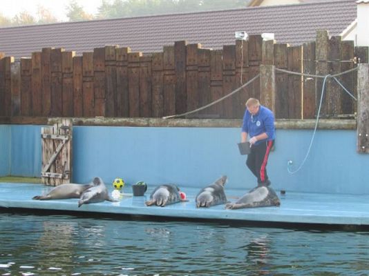 Grafika #29: 05.11.2014 - Wycieczka do Sea Parku w Sarbsku