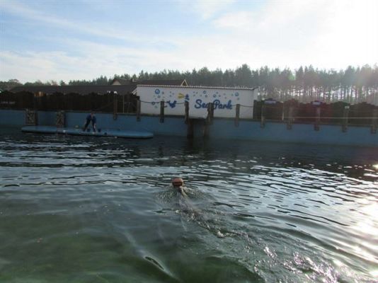 Grafika #30: 05.11.2014 - Wycieczka do Sea Parku w Sarbsku