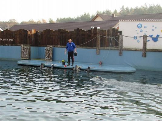 Grafika #31: 05.11.2014 - Wycieczka do Sea Parku w Sarbsku