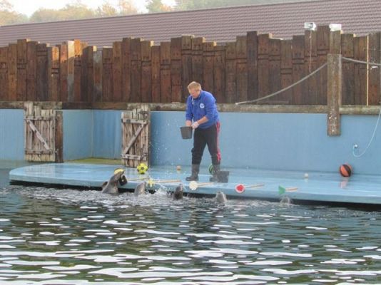 Grafika #33: 05.11.2014 - Wycieczka do Sea Parku w Sarbsku