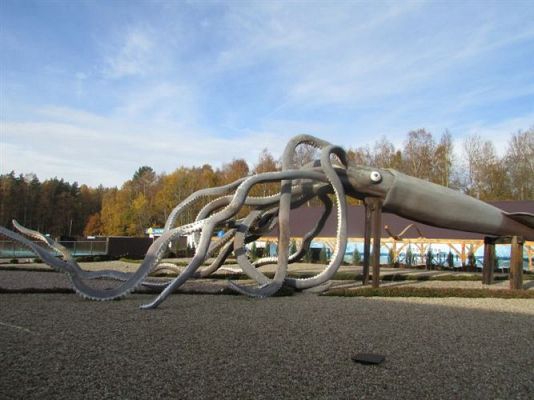 Grafika #36: 05.11.2014 - Wycieczka do Sea Parku w Sarbsku