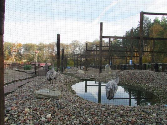 Grafika #59: 05.11.2014 - Wycieczka do Sea Parku w Sarbsku