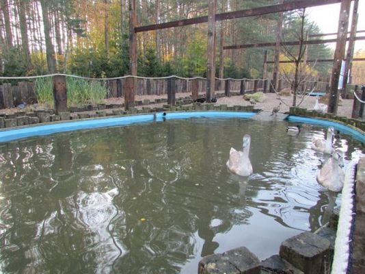 Grafika #62: 05.11.2014 - Wycieczka do Sea Parku w Sarbsku