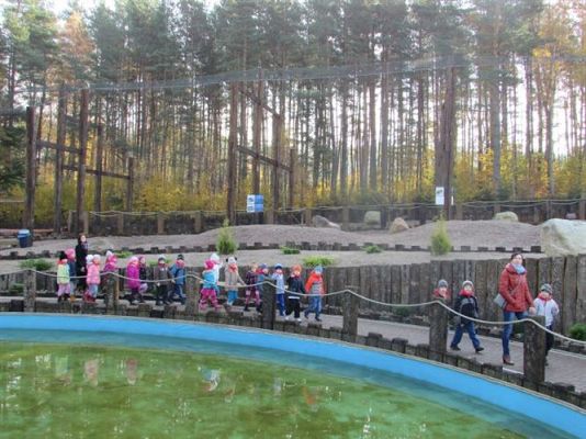 Grafika #66: 05.11.2014 - Wycieczka do Sea Parku w Sarbsku