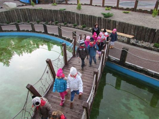 Grafika #67: 05.11.2014 - Wycieczka do Sea Parku w Sarbsku