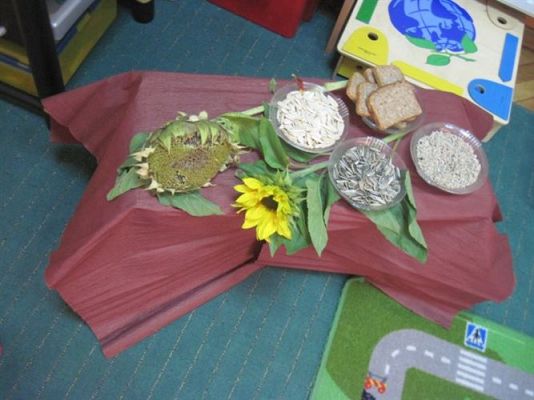 Grafika #15: 07.10.2014 - Dzień Słonecznika