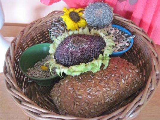 Grafika #56: 07.10.2014 - Dzień Słonecznika