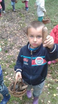 Grafika #2: 19.09.2014 - Wycieczka do lasu w ramach akcji "Sprzątanie Świata" c.d.