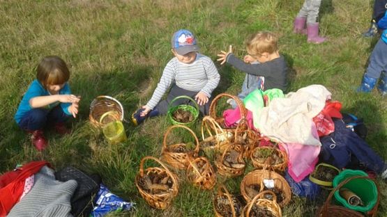 Grafika #9: 19.09.2014 - Wycieczka do lasu w ramach akcji "Sprzątanie Świata" c.d.