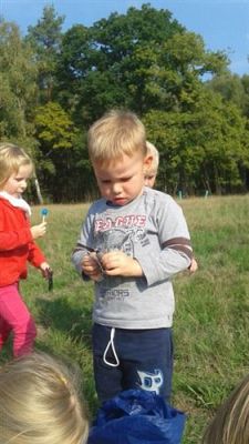 Grafika #26: 19.09.2014 - Wycieczka do lasu w ramach akcji "Sprzątanie Świata" c.d.