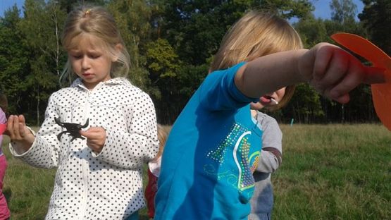 Grafika #31: 19.09.2014 - Wycieczka do lasu w ramach akcji "Sprzątanie Świata" c.d.