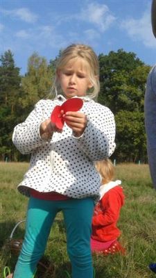 Grafika #35: 19.09.2014 - Wycieczka do lasu w ramach akcji "Sprzątanie Świata" c.d.