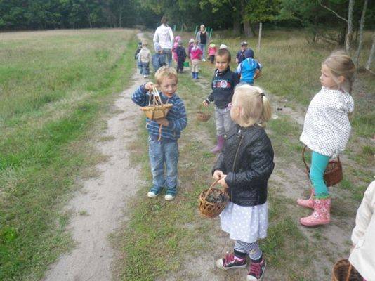 Grafika #47: 19.09.2014 - Wycieczka do lasu w ramach akcji "Sprzątanie Świata" c.d.
