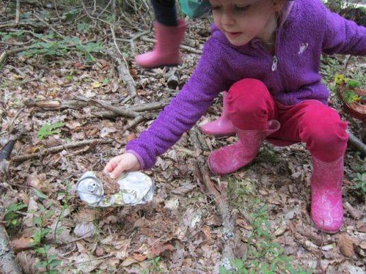 Grafika #3: 19.09.2014 - Wycieczka do lasu w ramach akcji "Sprzątanie Świata"