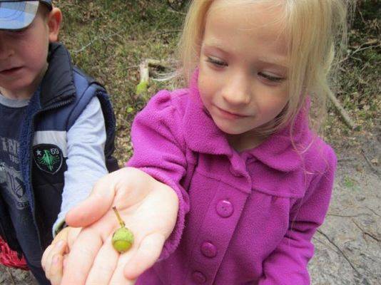 Grafika #7: 19.09.2014 - Wycieczka do lasu w ramach akcji "Sprzątanie Świata"
