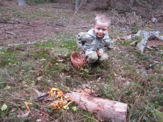 Grafika #8: 19.09.2014 - Wycieczka do lasu w ramach akcji "Sprzątanie Świata"