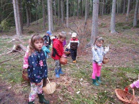 Grafika #9: 19.09.2014 - Wycieczka do lasu w ramach akcji "Sprzątanie Świata"