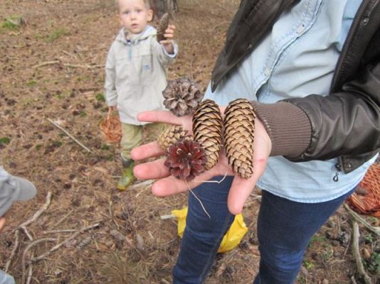Grafika #10: 19.09.2014 - Wycieczka do lasu w ramach akcji "Sprzątanie Świata"