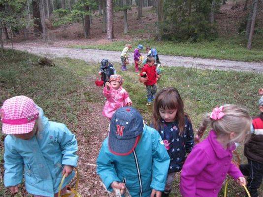 Grafika #12: 19.09.2014 - Wycieczka do lasu w ramach akcji "Sprzątanie Świata"