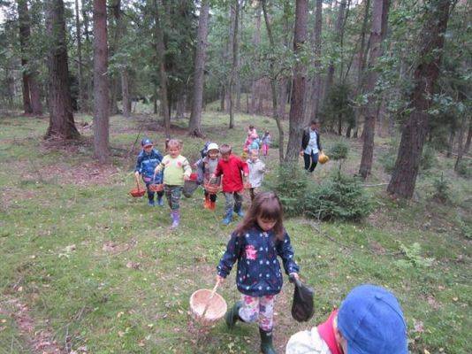 Grafika #19: 19.09.2014 - Wycieczka do lasu w ramach akcji "Sprzątanie Świata"