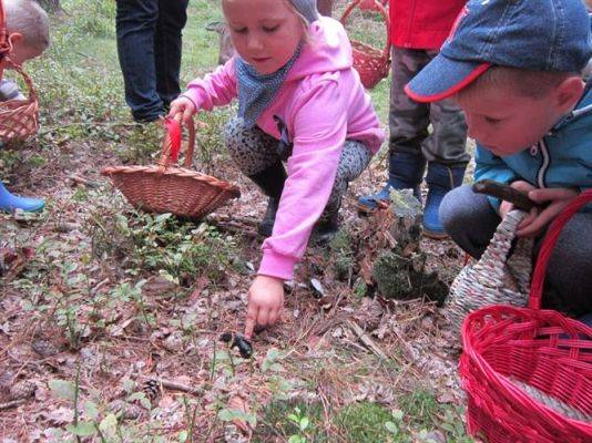 Grafika #21: 19.09.2014 - Wycieczka do lasu w ramach akcji "Sprzątanie Świata"