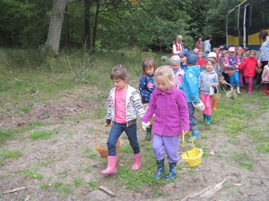 Grafika #27: 19.09.2014 - Wycieczka do lasu w ramach akcji "Sprzątanie Świata"