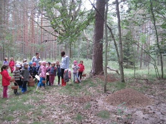 Grafika #37: 19.09.2014 - Wycieczka do lasu w ramach akcji "Sprzątanie Świata"