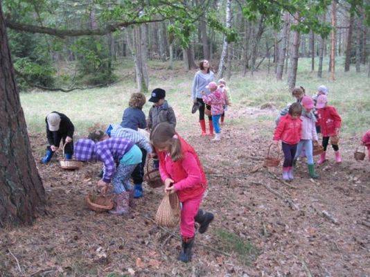 Grafika #41: 19.09.2014 - Wycieczka do lasu w ramach akcji "Sprzątanie Świata"