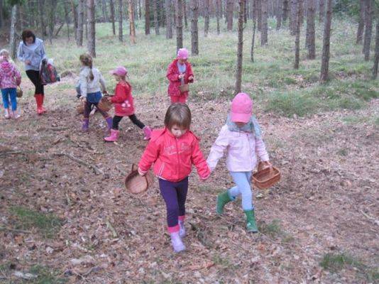 Grafika #42: 19.09.2014 - Wycieczka do lasu w ramach akcji "Sprzątanie Świata"