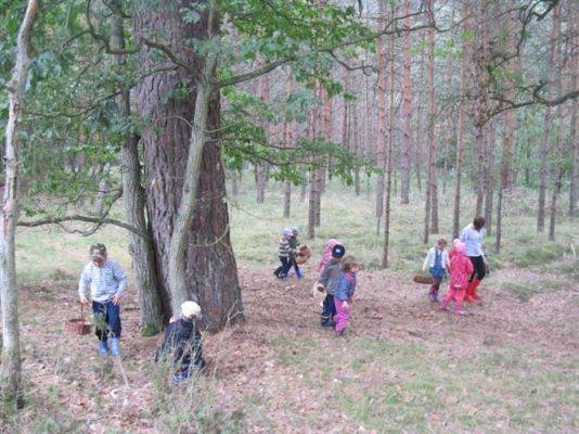 Grafika #43: 19.09.2014 - Wycieczka do lasu w ramach akcji "Sprzątanie Świata"