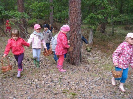 Grafika #45: 19.09.2014 - Wycieczka do lasu w ramach akcji "Sprzątanie Świata"