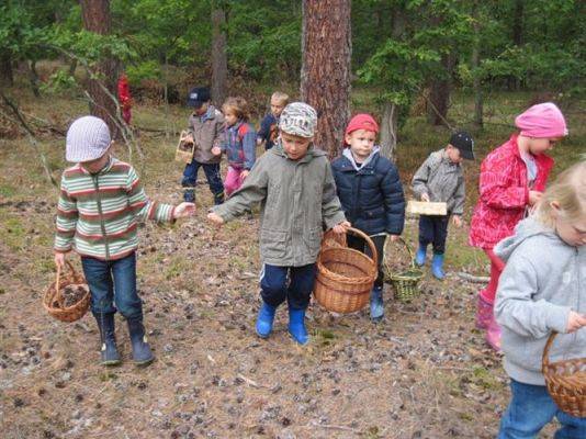 Grafika #46: 19.09.2014 - Wycieczka do lasu w ramach akcji "Sprzątanie Świata"