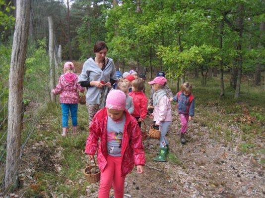 Grafika #47: 19.09.2014 - Wycieczka do lasu w ramach akcji "Sprzątanie Świata"