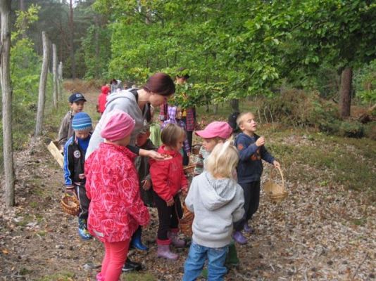 Grafika #48: 19.09.2014 - Wycieczka do lasu w ramach akcji "Sprzątanie Świata"