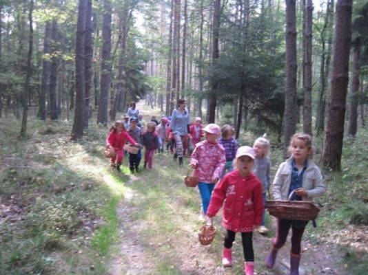 Grafika #65: 19.09.2014 - Wycieczka do lasu w ramach akcji "Sprzątanie Świata"