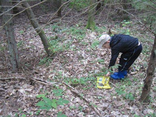 Grafika #66: 19.09.2014 - Wycieczka do lasu w ramach akcji "Sprzątanie Świata"