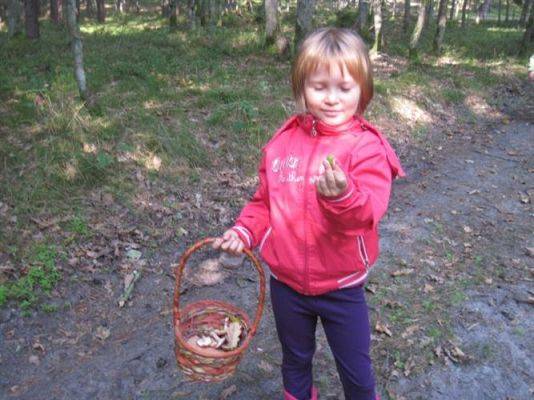 Grafika #75: 19.09.2014 - Wycieczka do lasu w ramach akcji "Sprzątanie Świata"