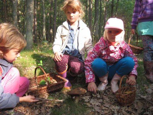 Grafika #76: 19.09.2014 - Wycieczka do lasu w ramach akcji "Sprzątanie Świata"