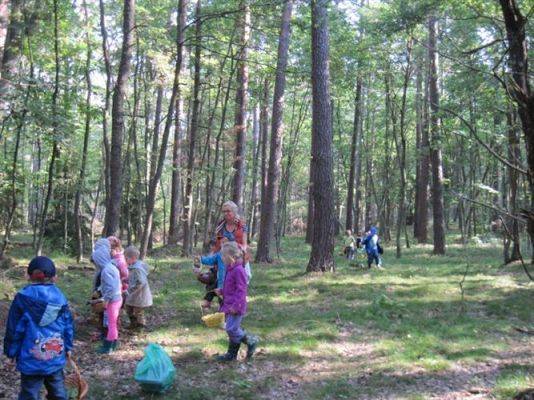 Grafika #81: 19.09.2014 - Wycieczka do lasu w ramach akcji "Sprzątanie Świata"