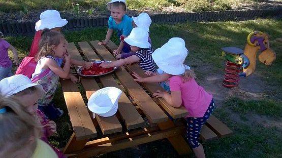 Grafika #0: 07.06.2016 Piknik gr.I w ogrodzie przedszkolnym