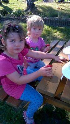 Grafika #4: 07.06.2016 Piknik gr.I w ogrodzie przedszkolnym