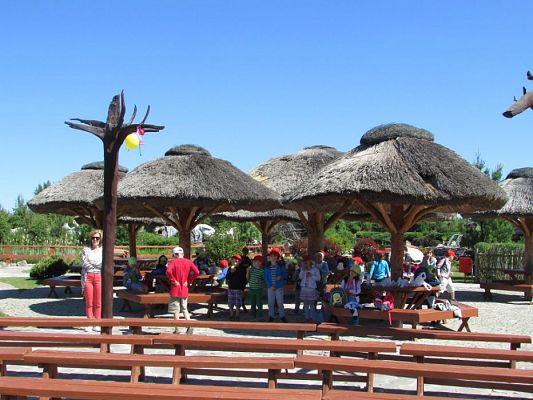 Grafika #1: 07.06.2016 Wycieczka gr. II i III do Parku Dinozaurów cz. II