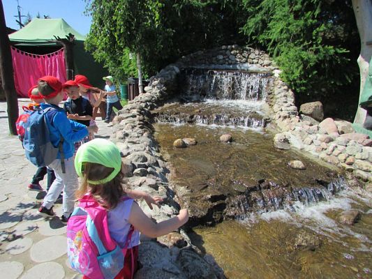 Grafika #7: 07.06.2016 Wycieczka gr. II i III do Parku Dinozaurów cz. II