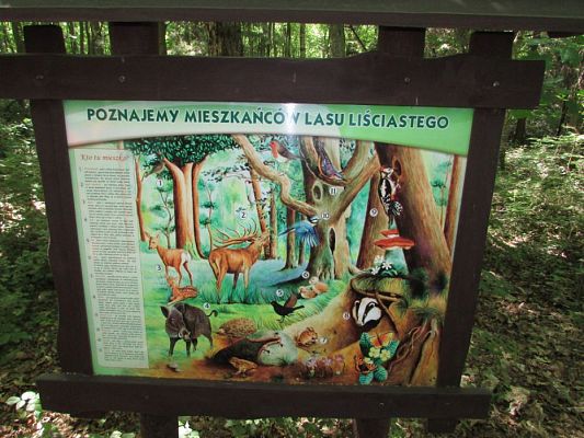 Grafika #18: 07.06.2016 Wycieczka gr. II i III do Parku Dinozaurów cz. II