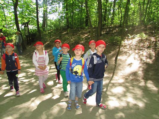 Grafika #25: 07.06.2016 Wycieczka gr. II i III do Parku Dinozaurów cz. II