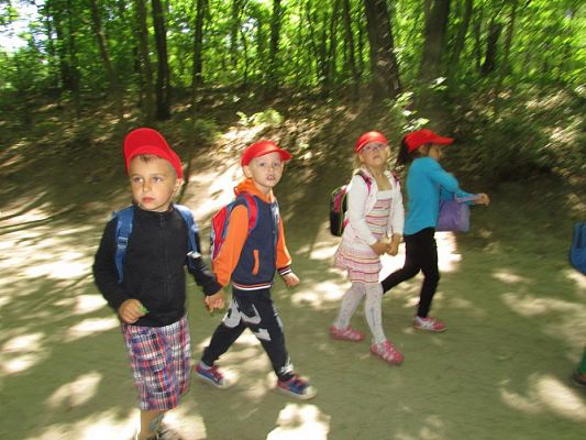 Grafika #26: 07.06.2016 Wycieczka gr. II i III do Parku Dinozaurów cz. II